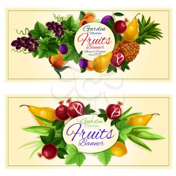 Sweet summer fruits banners set of fresh peach, grape, pineapple, lemon, plum, pear, apricot and pomegranate fruits with green leaves and tendrils of grapevine