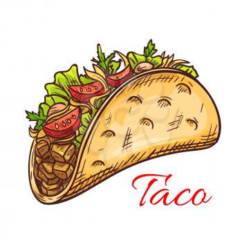 Mexican beef taco with fresh vegetables sketch of crispy corn tortilla filled with meat, tomato, pepper and salad greens. Mexican cuisine restaurant, fast food menu design