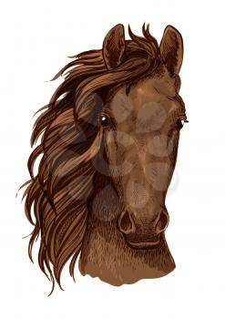 Arabian brown stallion vector portrait. Horse head color sketch. Mustang with serious look and wavy mane
