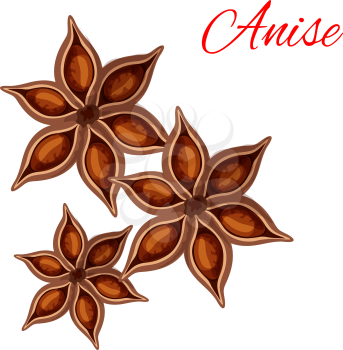 Anise. Vector isolated icon of spice plant anise, aniseed. Aroma food ingredient, condiment emblem for anise spice packaging design, cuisine menu card decoration, grocery shop, food market tag