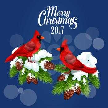 Merry Christmas 2017 poster with cardinal red birds sitting on fir and pine branches with cones. Winter blur of snowflakes falling. New Year greeting card