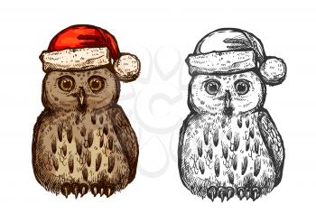 Owl in Santa traditional christmas red hat. isolated vector sketch icon