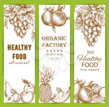 Healthy fruit food banners set. Vector sketch of natural organic fruits grape bunch, pomegranate, apple, apricot, pear, pineapple, banana, orange, citrus lemon, kiwi