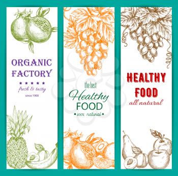 Fruit sketch banners set. Healthy organic fruit food. Vector fresh farm harvest fruits of orange, citrus lemon, grape bunch, pomegranate, apple, apricot, pear, tropical pineapple, banana, kiwi