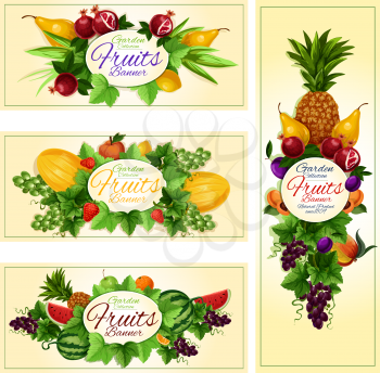 Fruit and berry cartoon banner set. Apple, orange, strawberry, grape, pineapple, plum, peach, watermelon, pear, pomegranate, melon and lemon fruits label. Juice packaging, diet food and drink design