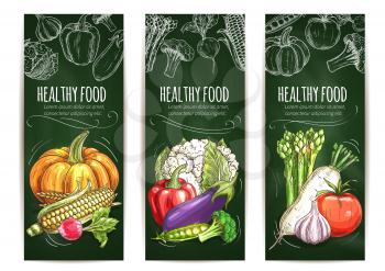 Vegetable sketch banner on blackboard. Healthy food banner set of tomato, pepper, garlic, eggplant, corn, pumpkin, cauliflower, broccoli, pea, radish, asparagus. Organic food shop, farm market design