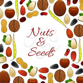 Nuts, kernels and nutritious seeds poster. Coconut, almond and pistachio, peanut and cashew, hazelnut, walnut and legume bean or pea pod, sunflower and pumpkin seeds. Vector vegetarian or vegan nutrit