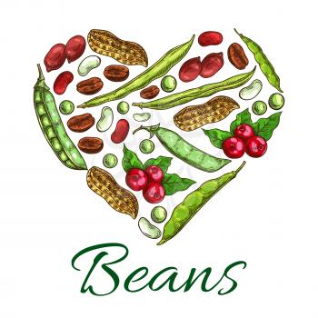 Nuts, beans and grains in shape of heart. Poster with nuts, coffee beans, peanuts in shell, beans, green peas, legume pods. Symbol design with plants seeds for vegetarian and vegan vegetable food nutr