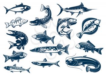 Fish vector isolated icons of tuna, pike and marlin or perch, bream, salmon and flounder or crucian, carp and mackerel sprat, sheatfish or catfish. Fishes spcies blue symbols set for seafood restauran