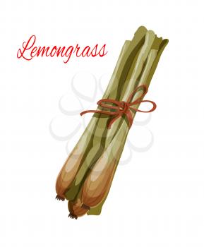Lemongrass or lemon grass vector icon. Herbal spice plant or green herb of asian or oriental cuisine culinary condiment, salad dressing or flavoring ingredient. Isolated vector aromatic piquant plant 
