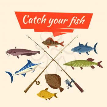 Fishing catch of vector fish sheatfish or catfish, marlin and perch, pike and flounder or salmon, tuna and carp, fisherman rods or fish-rods and fisher tackles baits and floats