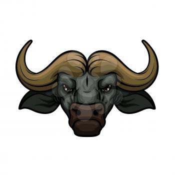 Black buffalo vector mascot icon of wild bull or african bison bovine animal muzzle or snout with horns. Isolated emblem or blazon for sport team, nature adventure club or tattoo sign