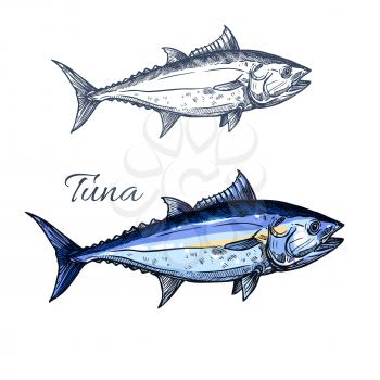 Tuna fish isolated sketch. Atlantic bluefin tunny fish for seafood packaging label, fish market symbol or restaurant menu design