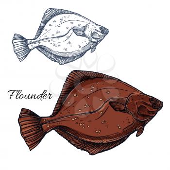 Flounder fish sketch. Ocean flatfish, predatory marine animal isolated sign for seafood menu, sea fishing or fish market symbol, underwater wildlife theme design