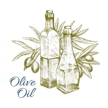 Olive oil of green olives vector sketch and olive-tree branch with bottle. Bunch of fresh fruits for vegetarian food seasoning product package or vegetable salad flavoring ingredient