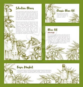 Olive oil sketch templates for product nutrition and cooking recipes. Italian cuisine olive products design with extra virgin oil bottles for organic vegetable store or farm market poster