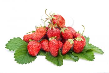 Royalty Free Photo of Fresh Strawberries