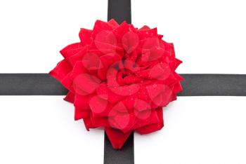 Royalty Free Photo of a Red Rose on Black Ribbon
