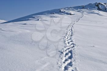 Royalty Free Photo of a Snow Mountain Background