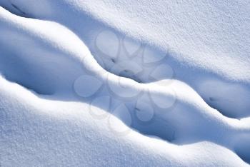 Royalty Free Photo of Traces on Snow