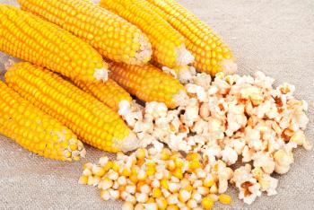 Ears of corn and popcorn