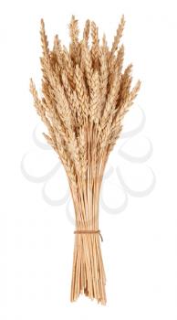 Sheaf of wheat