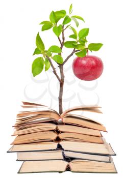 Books and apple tree