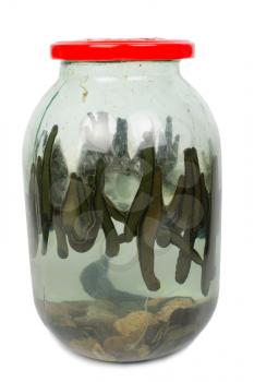 Leech in a glass jar