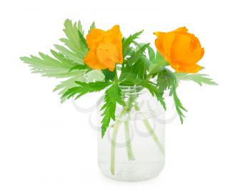 Globe-flowers in glass jar