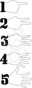 Hand , Numbers Counting Flat Design