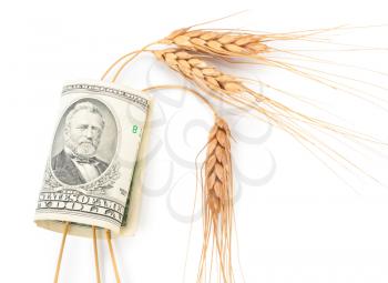 Wheat ears and money