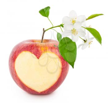 Red apple heart with leaves and flowers