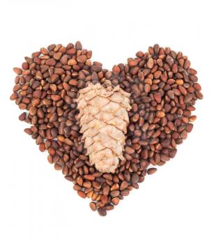 Cedar pine nuts.Heart