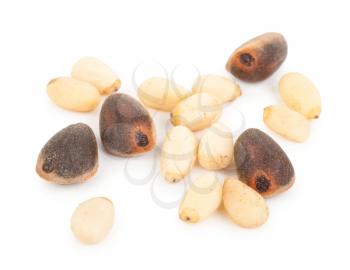 Cedar pine nuts