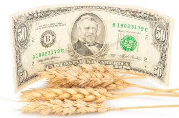 Wheat ears and money