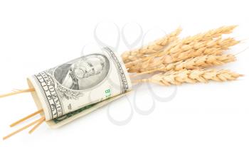 Wheat ears and money