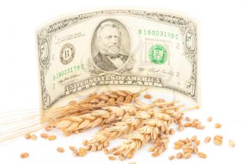 Wheat ears and money