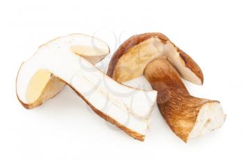 Boletus edulis on white background