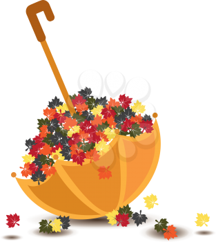 Umbrella with autumn maple leaves. Image for design