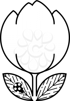 Tulip Clipart