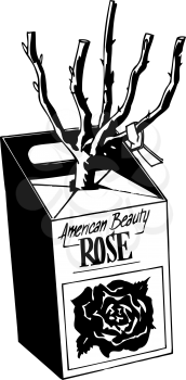 Rose Clipart