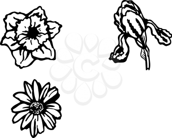 Blooms Clipart