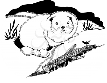 Groundhog's Clipart