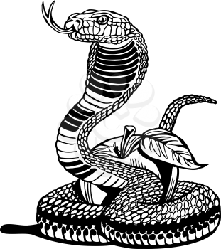 Serpent Clipart