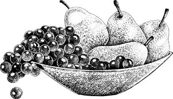 Pears Clipart
