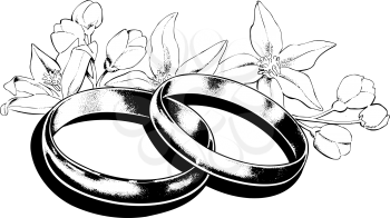 Rings Clipart