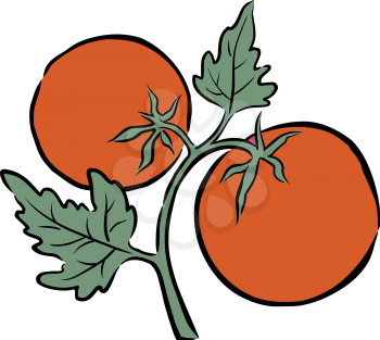 Tomatoes Clipart