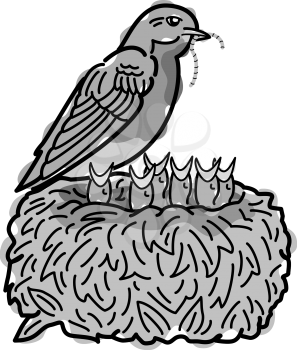 Birds Clipart