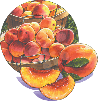 Peaches Clipart
