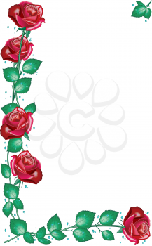 Rosesframecolor Clipart